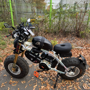 전기자전거 팻바이크 판매합니다 이미지