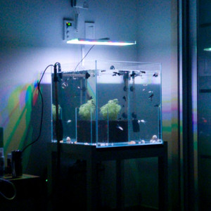 큐브 어항 세트 이미지