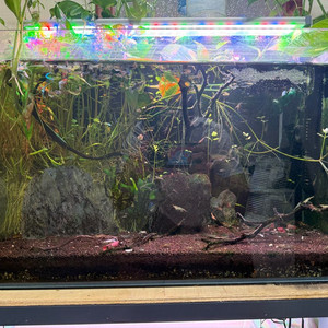 수초 어항 세트 이미지