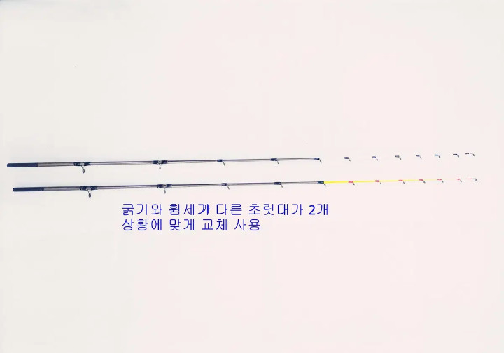 한치,텐빈준내만갈치,화살촉,쭈꾸미,갑오징어 카본루어낚시대(초릿대2개) 이미지