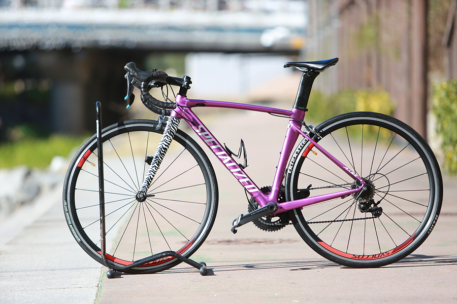 *가격인하*17년 스페셜 알레 스프린트 DSW SL 한정판 퍼플/ 제브라 49 이미지