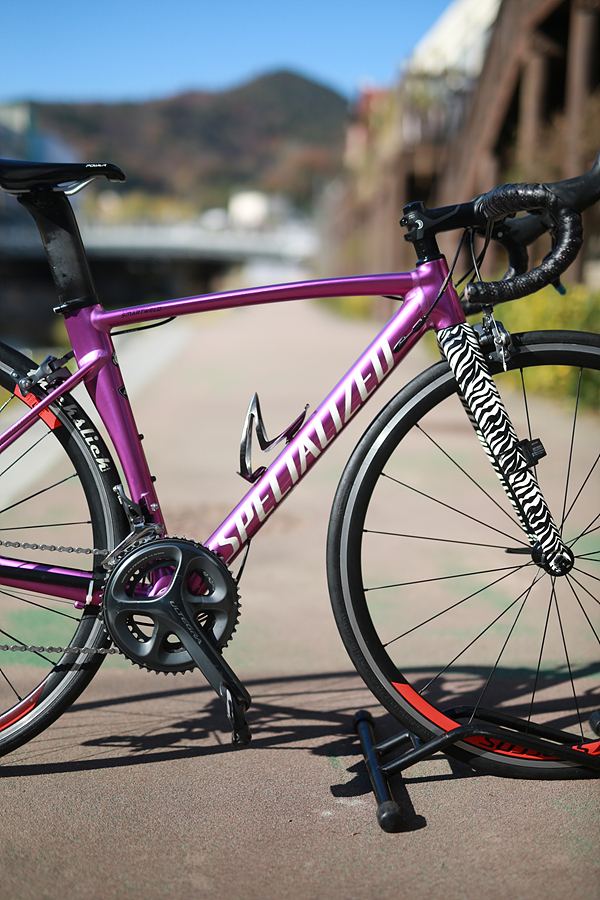 *가격인하*17년 스페셜 알레 스프린트 DSW SL 한정판 퍼플/ 제브라 49 이미지