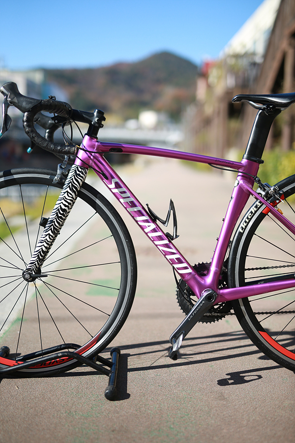 *가격인하*17년 스페셜 알레 스프린트 DSW SL 한정판 퍼플/ 제브라 49 이미지