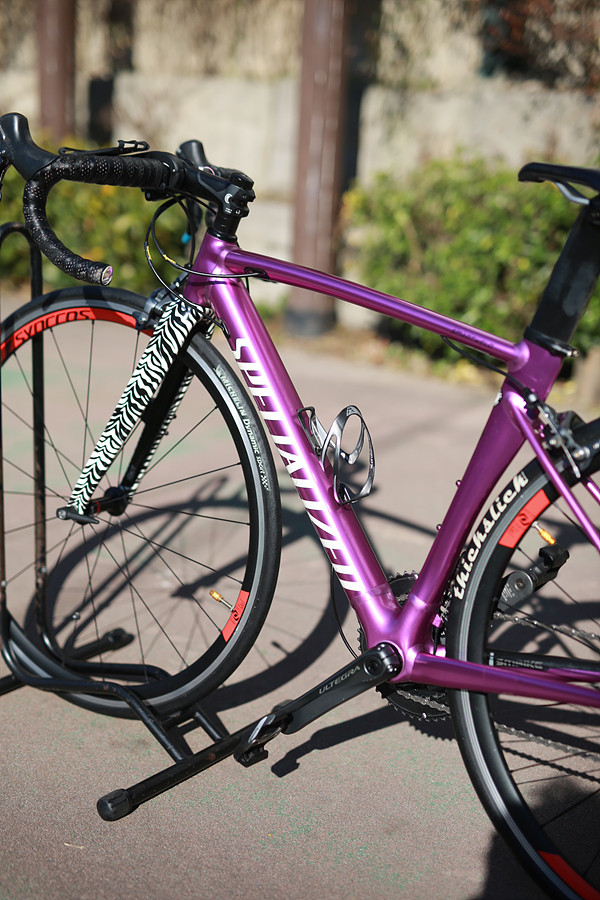 *가격인하*17년 스페셜 알레 스프린트 DSW SL 한정판 퍼플/ 제브라 49 이미지