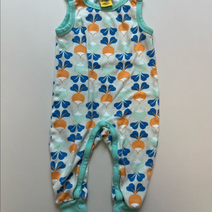 던스 순무 덩가리 74 이미지