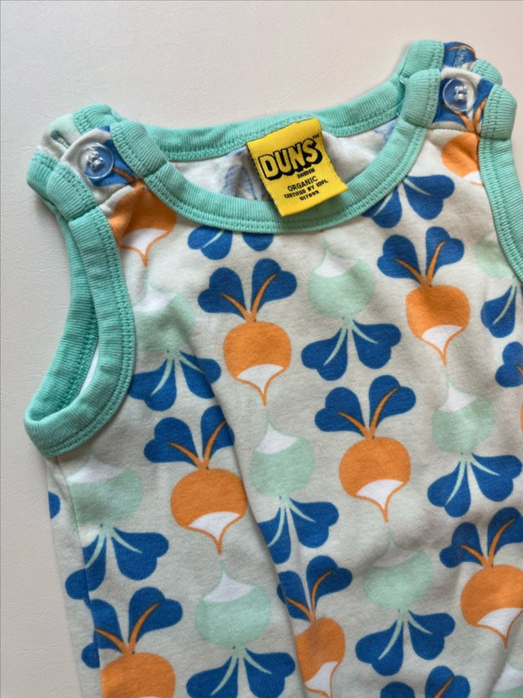 던스 순무 덩가리 74 이미지