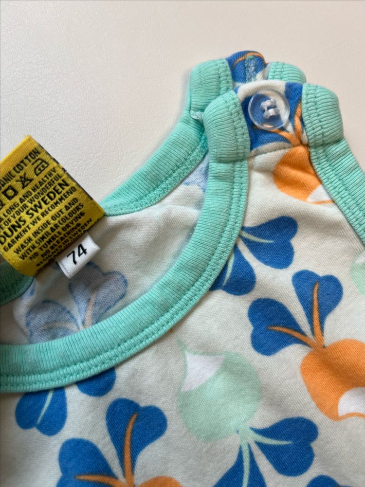 던스 순무 덩가리 74 이미지