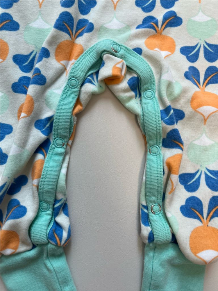 던스 순무 덩가리 74 이미지