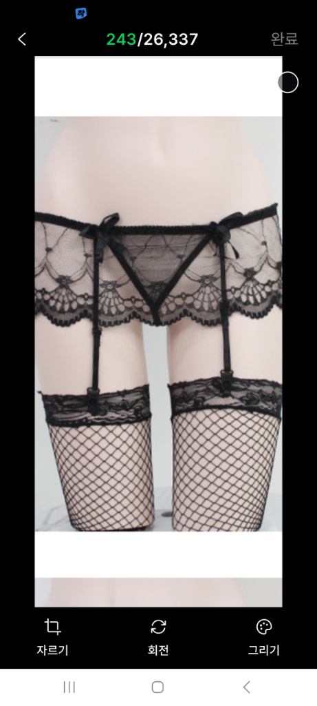레이스 리본 티팬티 일체형 가터벨트 44~55 이미지