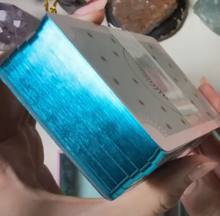 [단 한개] 파스텔라이더 타로카드 블루엣지 케이스 구버전 이미지