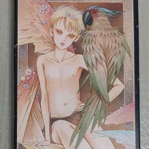 [단 한개] 시미즈레이코 미라클타로 22장 메이져 타로카드 이미지