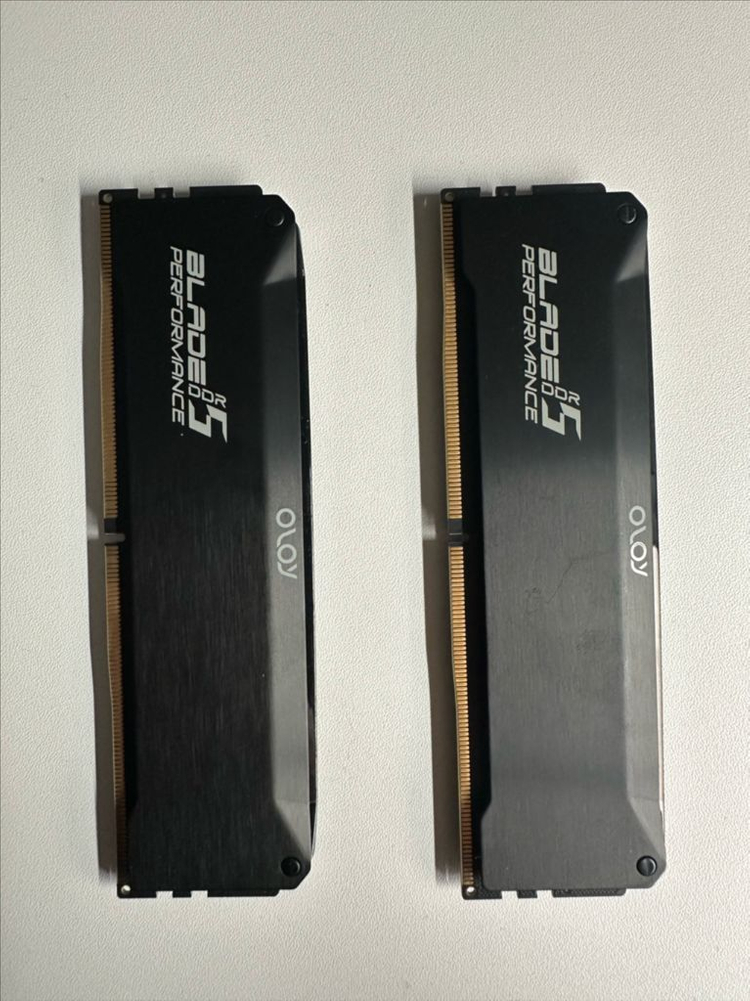 DDR5 CL30 6000 32GB (16GB*2) Oloy Blade Performance 이미지