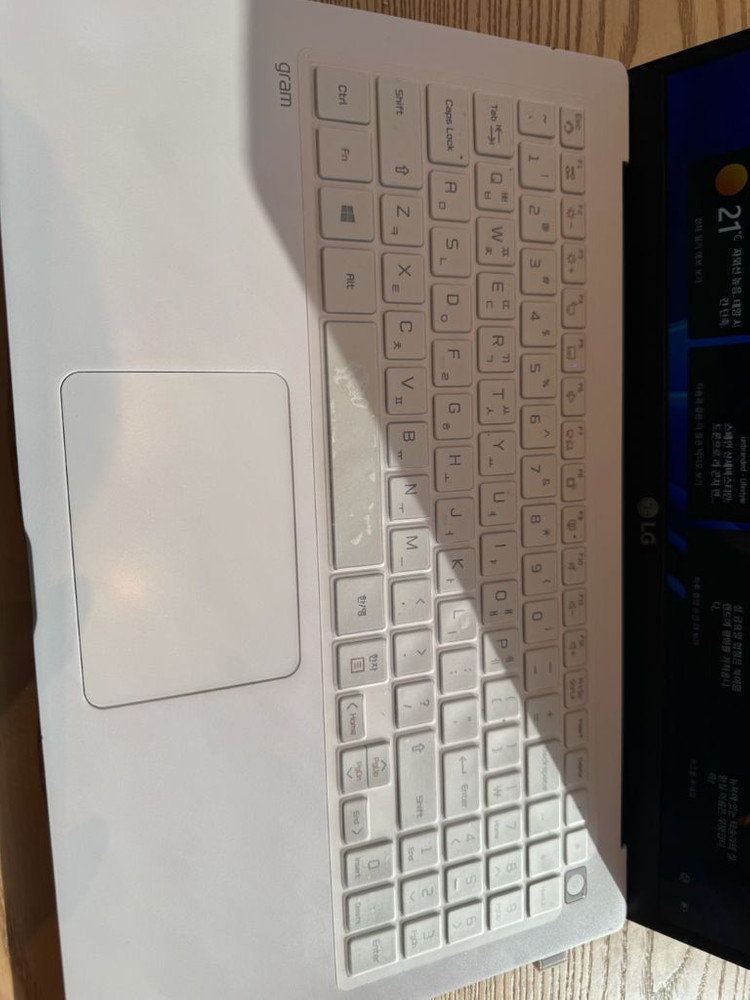 LG 그램 2021 이미지
