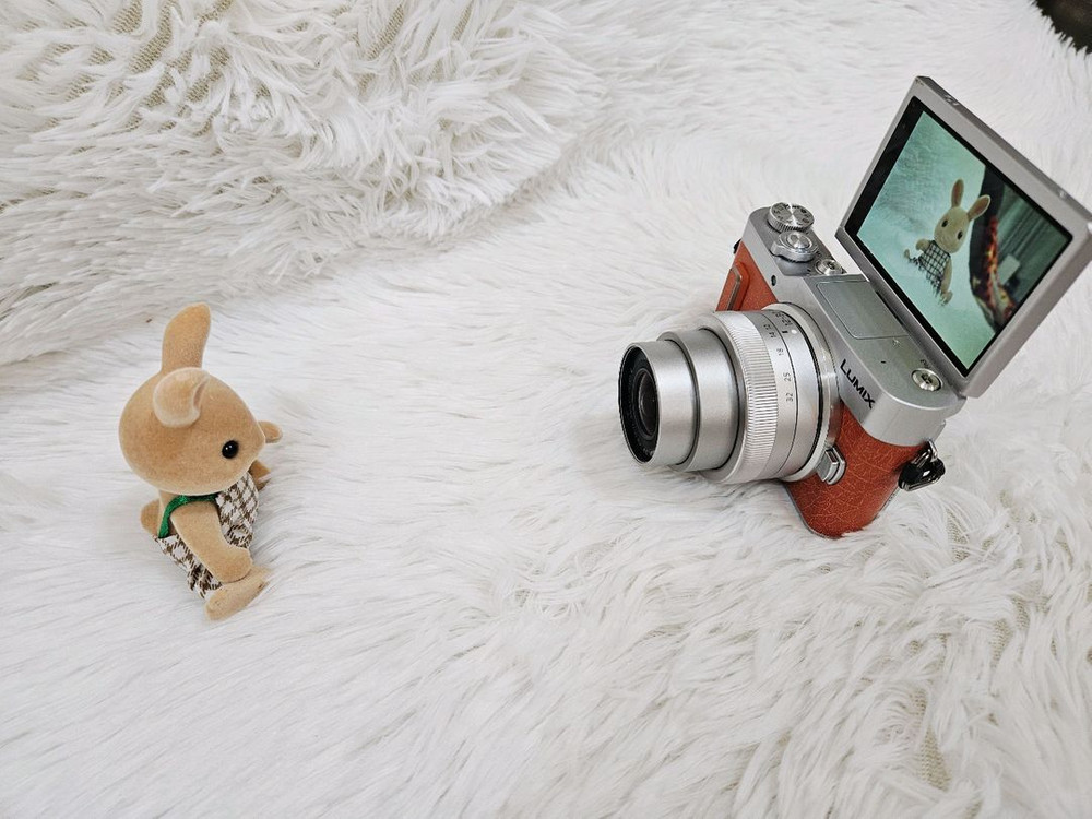 [민트] 파나소닉 루믹스 GF10K + 12-32mm 미러리스, 디카 이미지