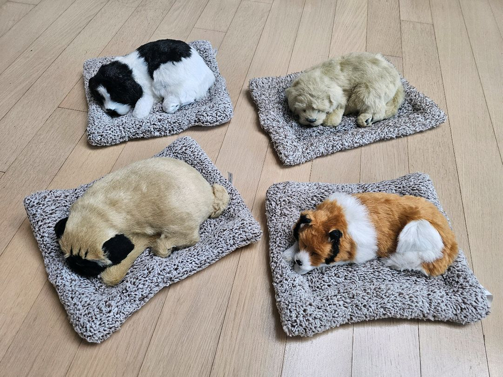 신발(포켓몬, 산리오 등), 장갑, 모자, 귀마개, 제습인형, 운동용품 판매합니다. (미사용품) 이미지
