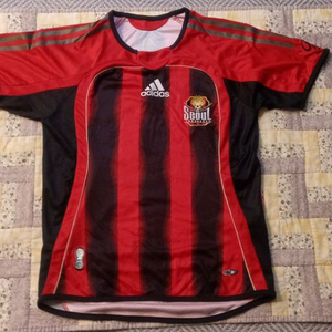 아동 FC서울 홈 셰놀 귀네슈 감독 이을용 정조국 사인 유니폼 팝니다 이미지