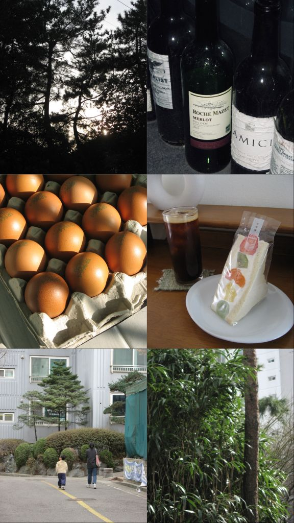 (작례)토모토모, 박보영 디카 캐논 익서스800is(canon 익시 ixus800, ixy800) 이미지