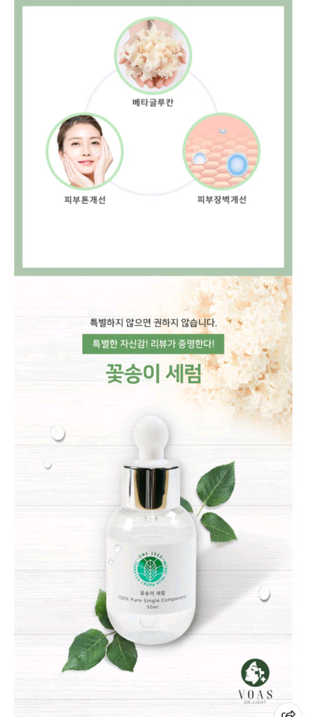 꽃송이버섯 세럼 이미지