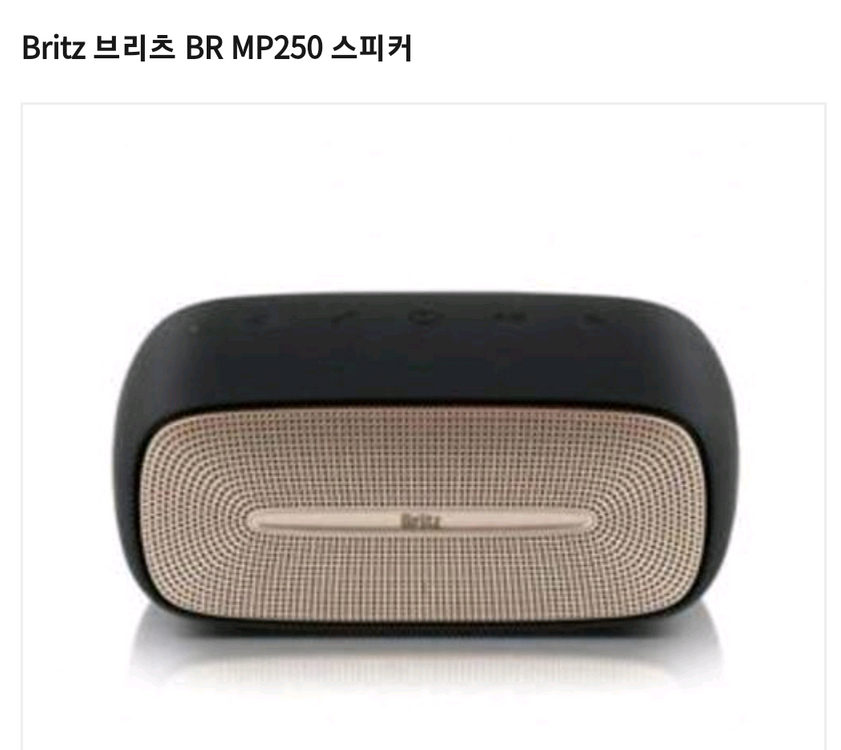브리츠 BR-MP250 휴대용 블루투스 스피커 이미지