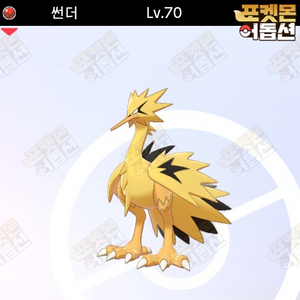 이로치 가라르 썬더 / 포켓몬스터 / 닌텐도 스위치 이미지