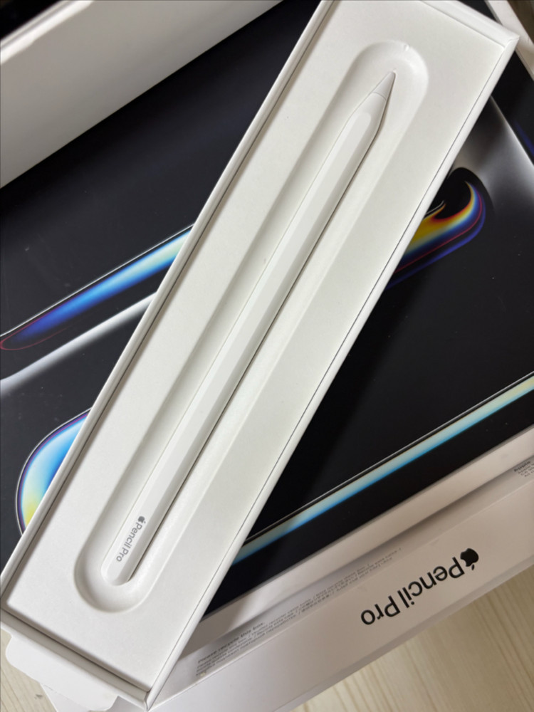 아이패드 프로13인치 M4 (큰 용량 1TB) +애플펜슬 프로 이미지