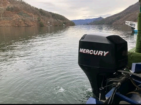 배스낚시보트 트래커 보트 프로팀 175 TX 이미지