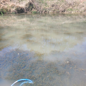 남성용 용품 미개봉 이미지