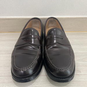 알든 99162 Van 라스트 US 8D 코도반 이미지