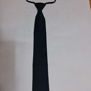 엘리트 넥타이 필요하신 분들은 편하게 보세요 5000 이미지