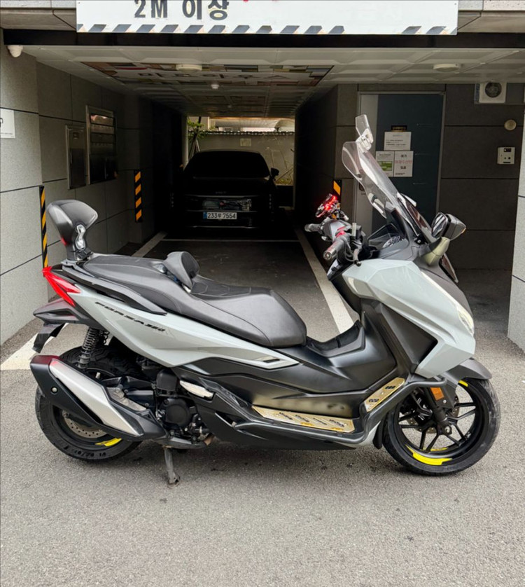 신형 페리 포르자350 깔끔한 차량 판매합니다 이미지