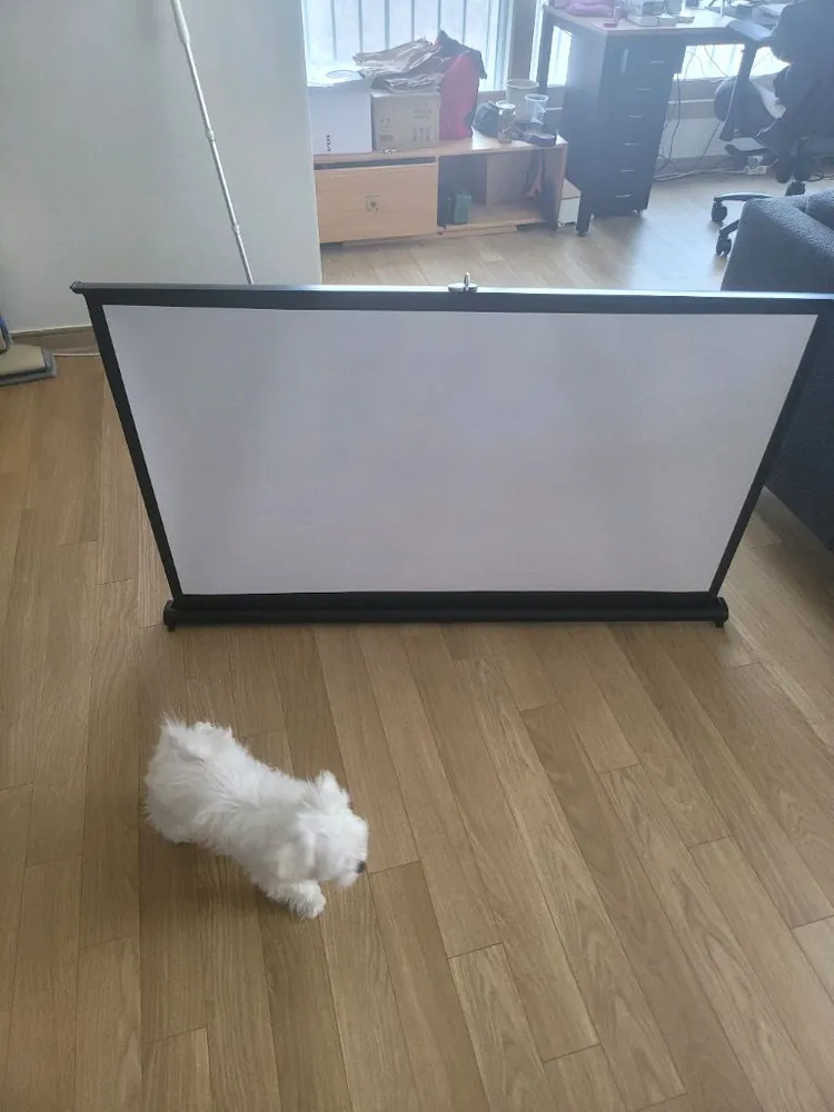LG씨네빔 HU80KA 팝니다 이미지