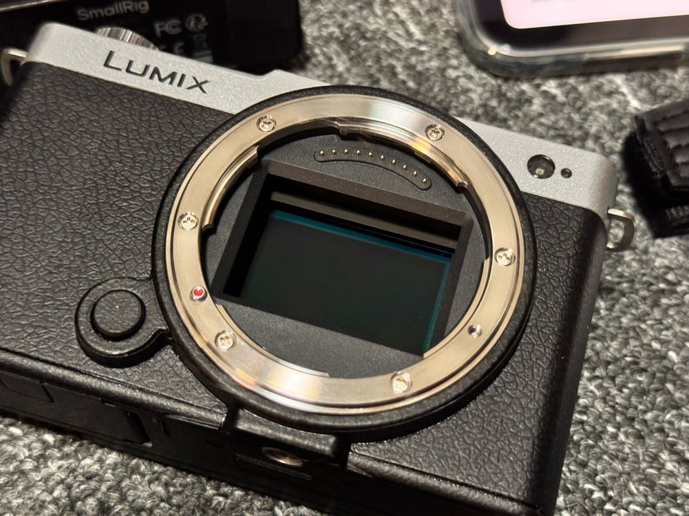 파나소닉 루믹스 S9 완전 쌔거 풀세트 팝 니다. (정품배터리 2개, 틸타 배터리 3구(충전기,스몰리그 케이지) 이미지