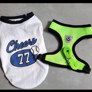 강아지/하네스/여름옷/같이해서 이미지