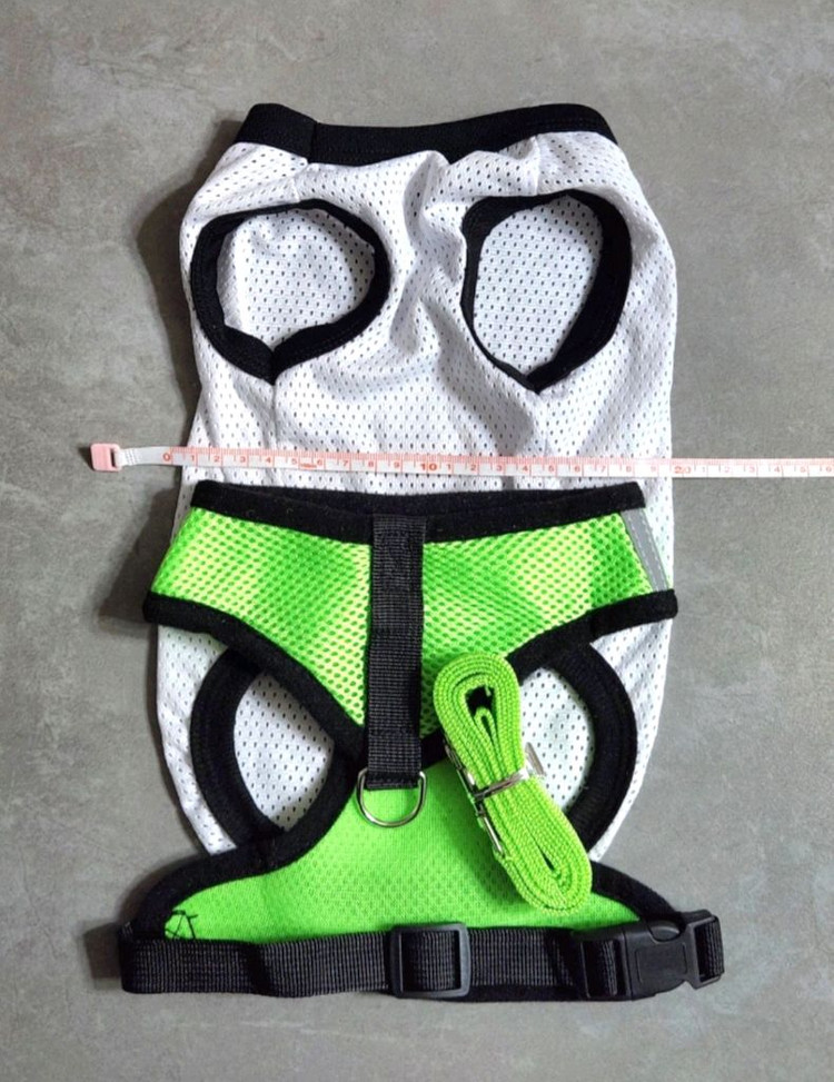 강아지/하네스/여름옷/같이해서 이미지