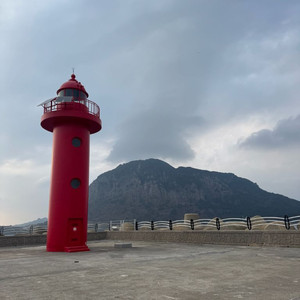 스쿠비프로 제트핀 m한짝구합니다 이미지