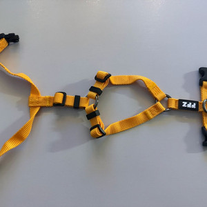 PPZ 강아지 하네스 이미지