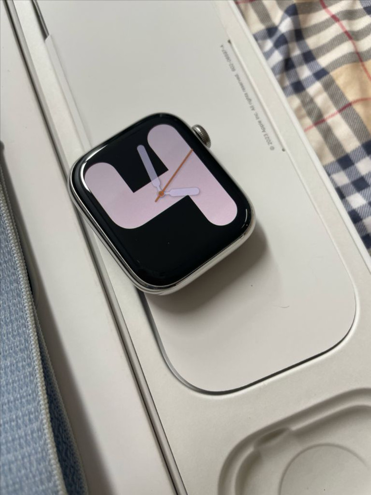 애플워치9스테인리스 45mm 실버 SSS급 이미지