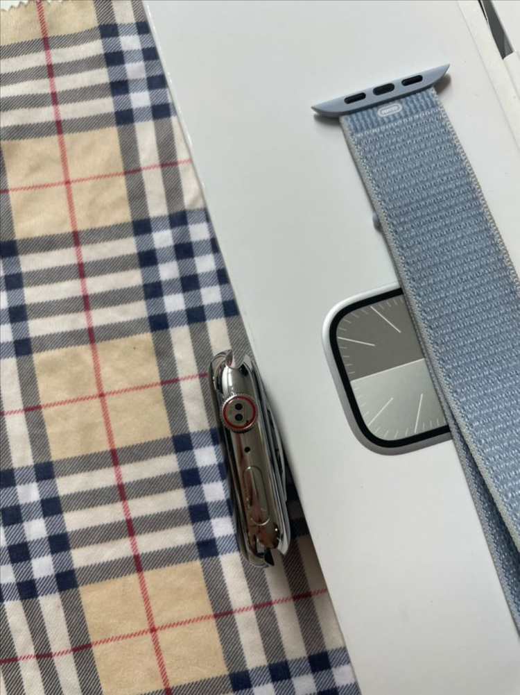 애플워치9스테인리스 45mm 실버 SSS급 이미지