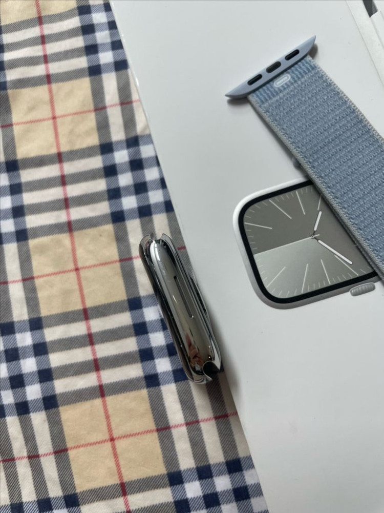 애플워치9스테인리스 45mm 실버 SSS급 이미지