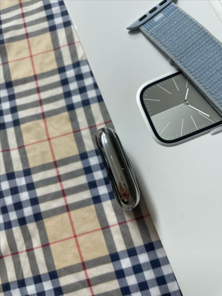 애플워치9스테인리스 45mm 실버 SSS급 이미지