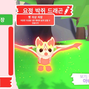 입양하세요 펫 메가네온 요정 박쥐 드래곤(메요박)판매합니다 이미지