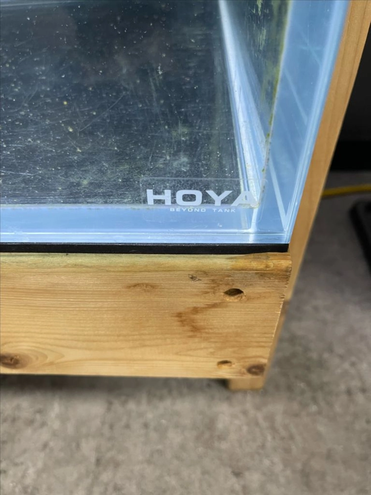 (경기 북부) HOYA 4자 광폭 하이 어항 올디아망 수조 12T + 어항 받침대 축양장 세트 판매 (개별 가능) 이미지