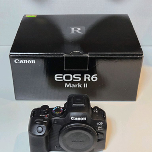 캐논 R6mark2 이미지