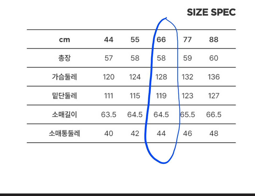 칼 라거펠트 글리터니트 펄베이지 66/ 루즈핏55 이미지