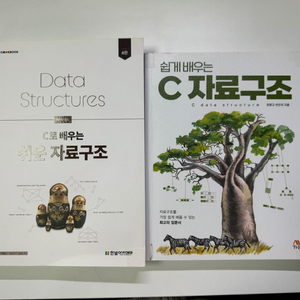 자료구조 책 이미지