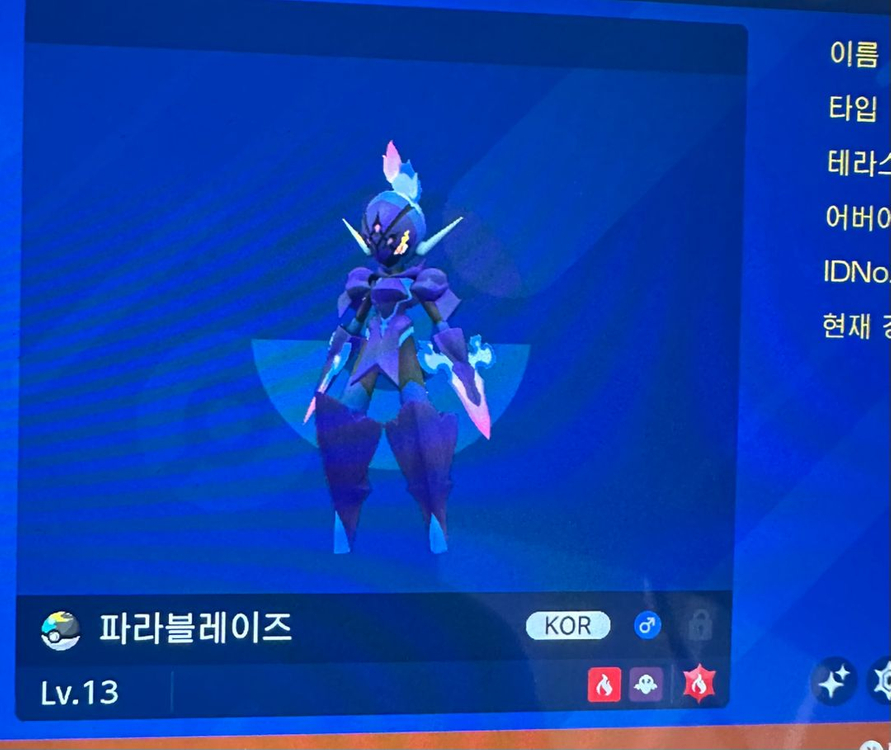 이로치 3마리 파라블레이즈 이브이 마릴 포켓몬스터 스칼렛 바이올렛 소드 실드 포챔스 za 닌텐도 스위치2 이미지