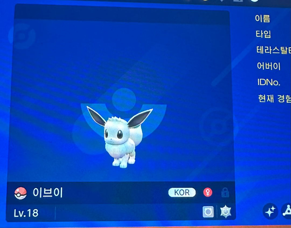 이로치 3마리 파라블레이즈 이브이 마릴 포켓몬스터 스칼렛 바이올렛 소드 실드 포챔스 za 닌텐도 스위치2 이미지