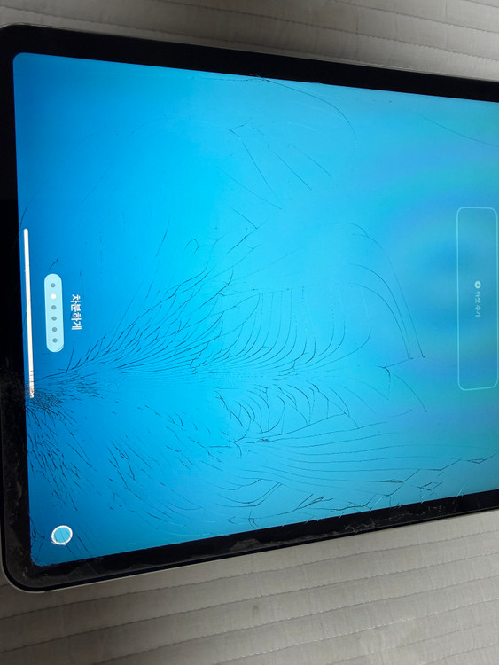 아이패드 프로1세대 11인치 256기가 셀룰러 외 부가기기 팝니다. 이미지