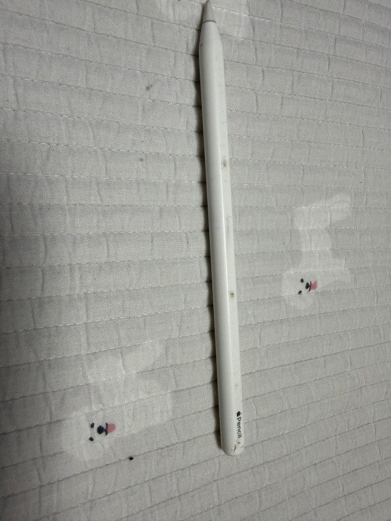 아이패드 프로1세대 11인치 256기가 셀룰러 외 부가기기 팝니다. 이미지