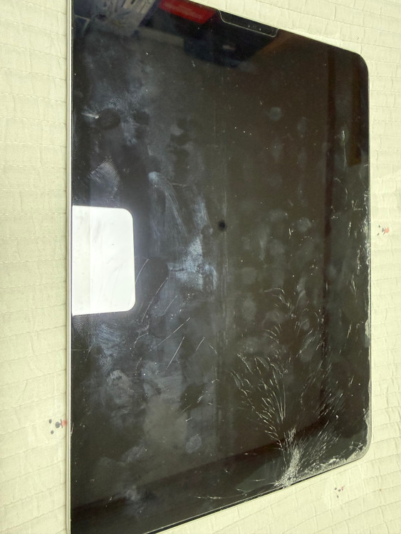 아이패드 프로1세대 11인치 256기가 셀룰러 외 부가기기 팝니다. 이미지